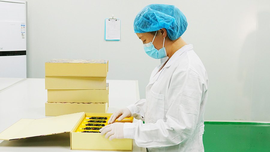 XPJ(中国大陆)有限公司官网