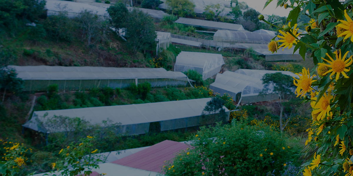 c7f12550c00a446d19f242be36422872