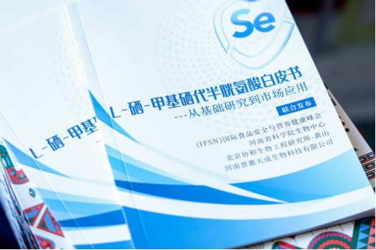 XPJ(中国大陆)有限公司官网