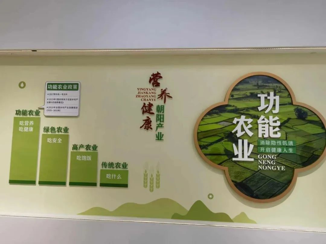 XPJ(中国大陆)有限公司官网