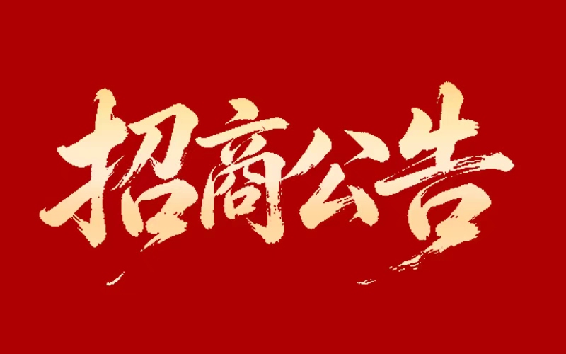 XPJ官网对表招商联系方式布告